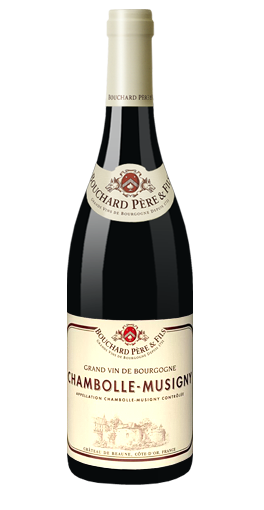 Bouchard Père & Fils - Chambolle-Musigny 2009