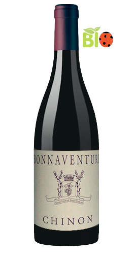 Château de Coulaine - Chinon Bonnaventure 2010