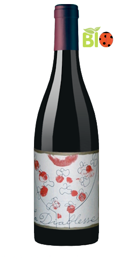 Château de Coulaine - Chinon La Diablesse 2008