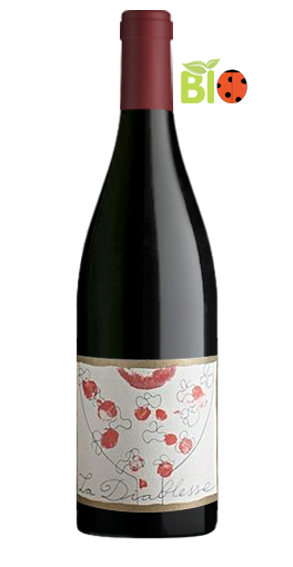Château de Coulaine - Chinon La Diablesse 2010