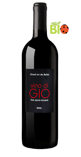Clos Saint-Vincent - Vino di Gio Rouge 2006