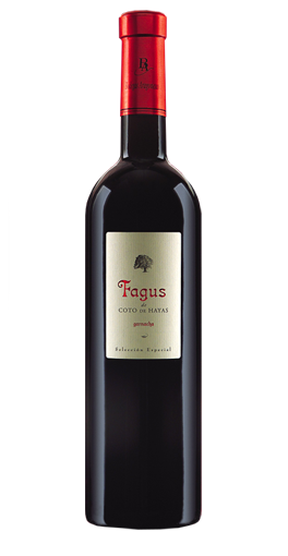 Bodegas Coto de Hayas - Fagus 2008