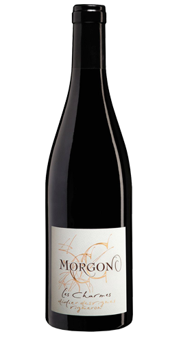 Didier Desvignes - Morgon Les Charmes 2016