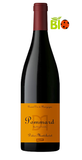 Didier Montchovet - Pommard 2012