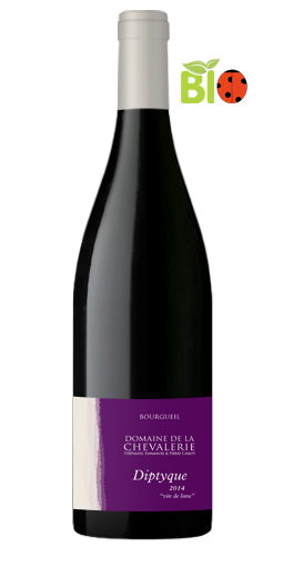 Domaine de la Chevalerie - Diptyque 2014