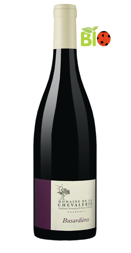 Domaine de la Chevalerie - Bourgueil Busardières 2008