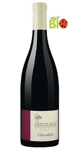 Domaine de la Chevalerie - Bourgueil Chevalerie 2010