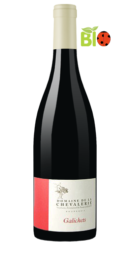 Domaine de la Chevalerie - Bourgueil Galichets 2010