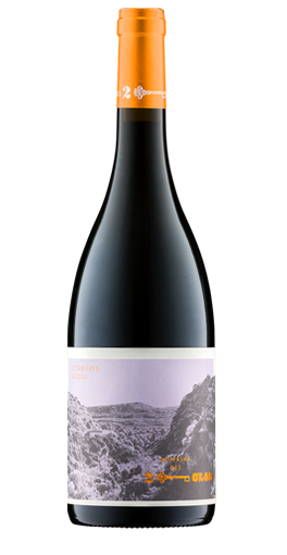 Domaine des 2 Clés - Corbières rouge 2021
