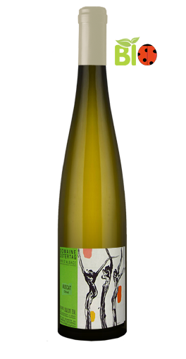 Domaine Ostertag - Muscat Ottonel 2011