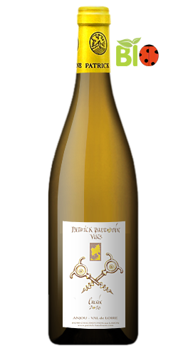 Domaine Patrick Baudouin - Anjou 2010