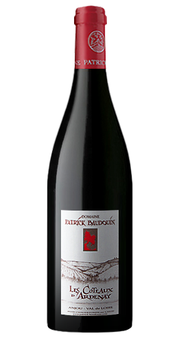 Domaine Patrick Baudouin - Les Coteaux d'Ardenay 2016