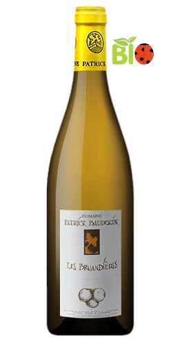 Domaine Patrick Baudouin - Coteaux du Layon Les Bruandières 2013