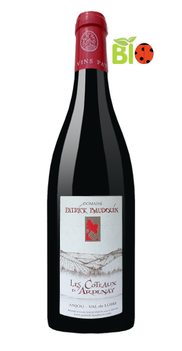 Domaine Patrick Baudouin - Les Coteaux d'Ardenay 2009