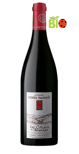 Domaine Patrick Baudouin - Les Coteaux d'Ardenay 2011