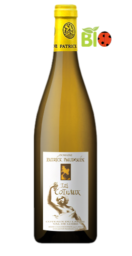 Domaine Patrick Baudouin - Les Coteaux 2013