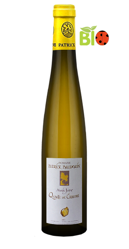 Domaine Patrick Baudouin - Maria Juby 2009 (50cl)