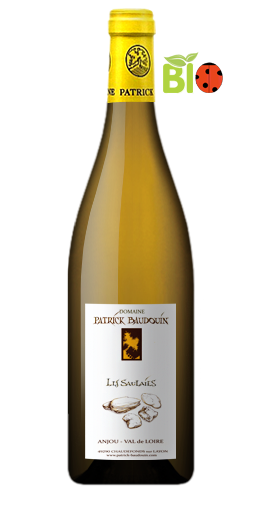 Domaine Patrick Baudouin - Anjou Les Saulaies 2010