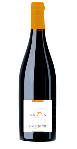 Domaine Sauvète - Antéa 2015