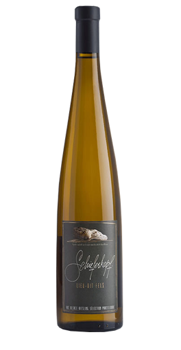 Domaine Schieferkopf - Riesling Lieu-dit Fels 2011
