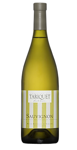 Domaine du Tariquet - Sauvignon 2010