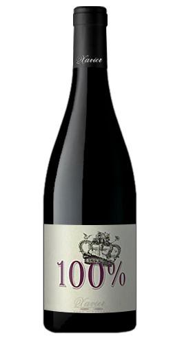 Xavier Vins - Côtes-du-Rhône 100% 2010