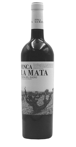 Isaac Fernandez - Finca La Mata 2015