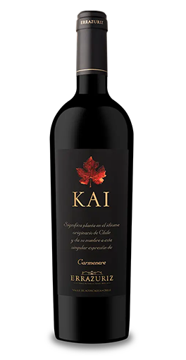 Errazuriz - Vallée de l'Aconcagua Kai 2020