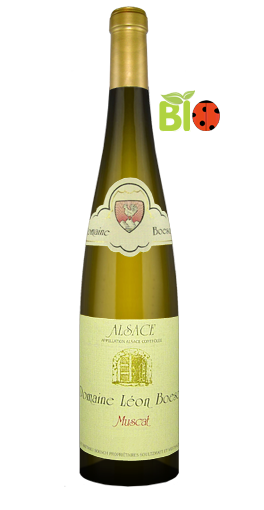 Léon Boesch - Muscat L'Amandier 2014