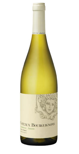 Louis jadot - Coteaux Bourguignons 2013