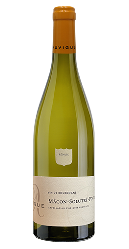 Maison Auvigue - Mâcon-Solutré-Pouilly 2023