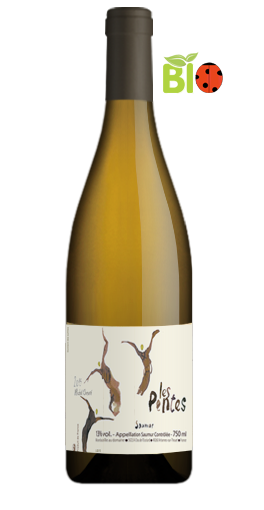 Domaine Michel Chevré - Les Pentes 2015