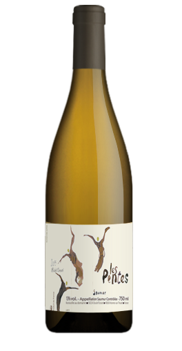 Domaine Michel Chevré - Les Pentes 2016