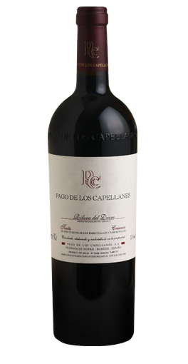 Bodegas Pago de Los Capellanes - Crianza 2007