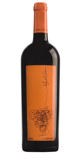 Rafael Cambra – Rücken 2014