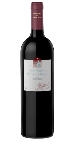 San Pedro de Yacochuya 2014