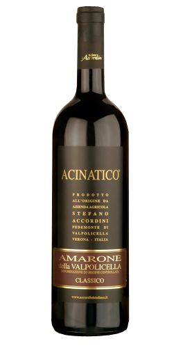 Stefano Accordini - Amarone della Valpolicella Classico Acinatico 2009
