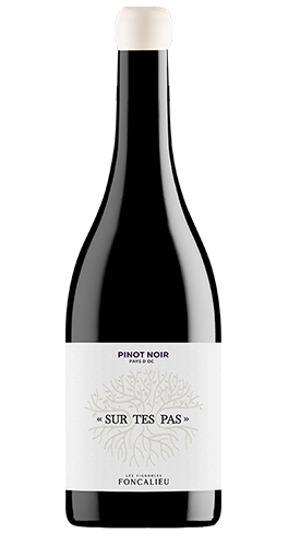 Vignobles Foncalieu - IGP Pays d'Oc Sur tes pas 2023