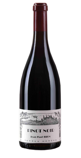 Terres Dorées - Bourgogne Pinot Noir 2012