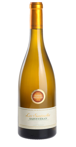 Vignerons des Terres Secrètes - Les Sentinelles 2015