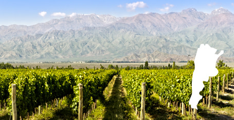 Vins d' Argentine