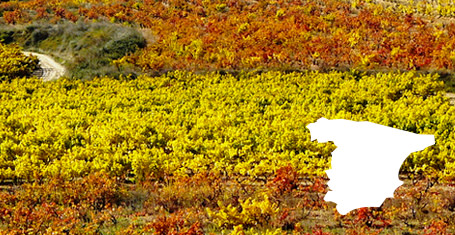 Vins d' Espagne