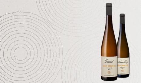 VINS JULIEN SCHAAL - RIESLING GRAND CRU 2024 en vente privilège sur 1JOUR1VIN