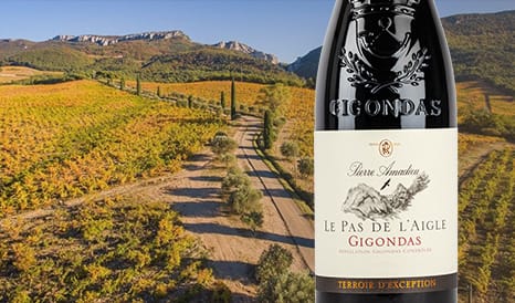 VINS GIGONDAS LE PAS DE L'AIGLE 2022 en vente privilège sur 1JOUR1VIN