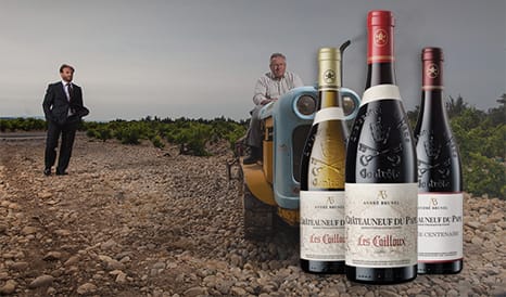 VINS ANDRE BRUNEL LES CAILLOUX  CHATEAUNEUF-DU-PAP à bas prix chez 1JOUR1VIN