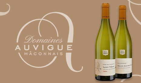 VINS SAINT VERAN  MACON-SOLUTRE-POUILLY pas cher chez 1JOUR1VIN