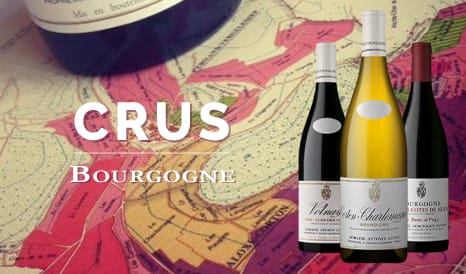 VINS ANTONIN ET DOMINIQUE GUYON en soldes chez 1JOUR1VIN