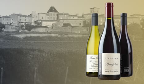 VINS TERRES DOREES - JEAN-PAUL BRUN en soldes sur 1JOUR1VIN