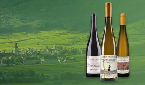VINS BIO ALBERT MANN, LA REVELATION DES TERROIRS en vente privilège sur 1JOUR1VIN