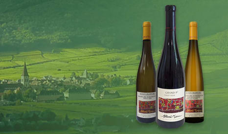 VINS BIO ALBERT MANN, LA REVELATION DES TERROIRS en vente privilège sur 1JOUR1VIN